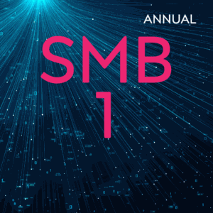 SMB 1 Hosting (Annual)